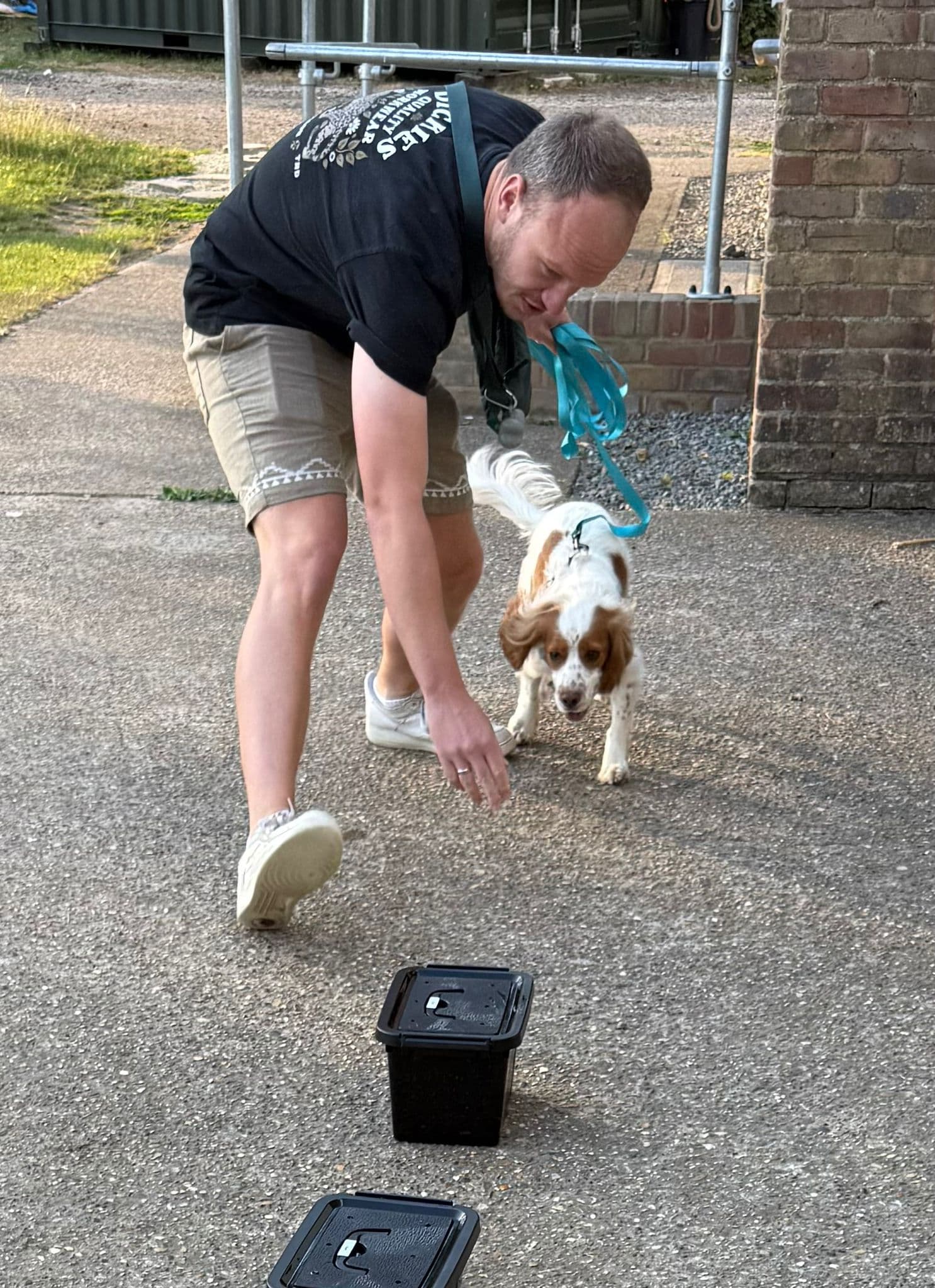 Dog working on scent detection training