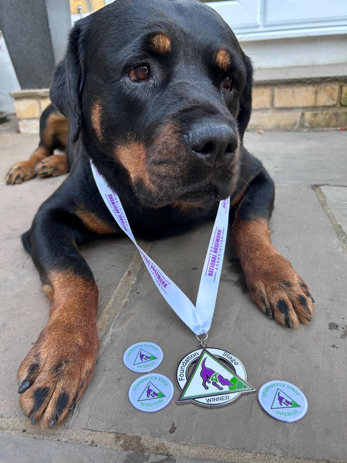Dog with NNA medal and badges