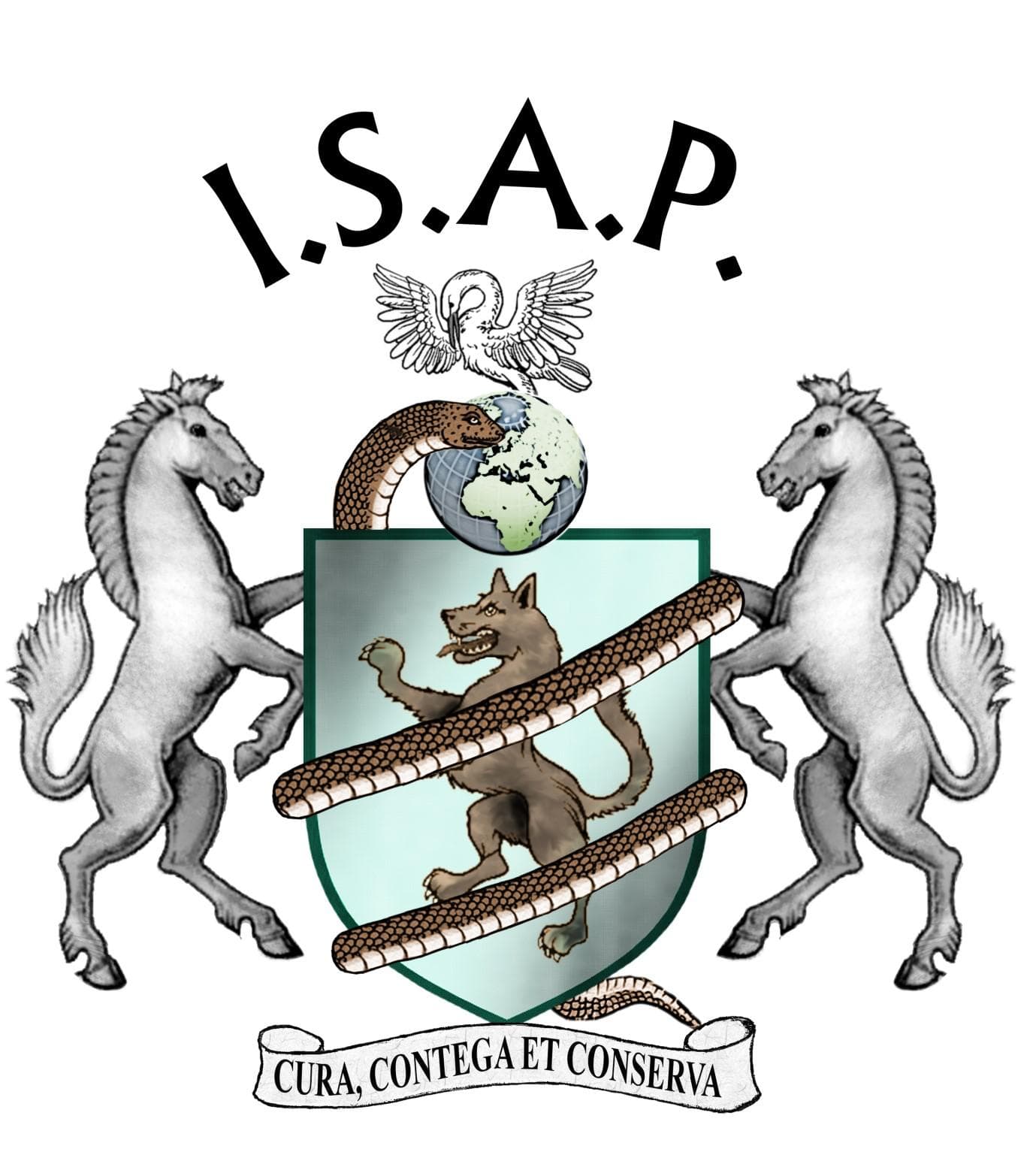 Emma Spamer MISAP - professional dog trainer